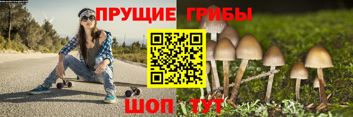 Псилоцибиновые грибы мухоморы  Псилоцибиновые грибы прущие грибы  Карпинск  Вход с VPN 